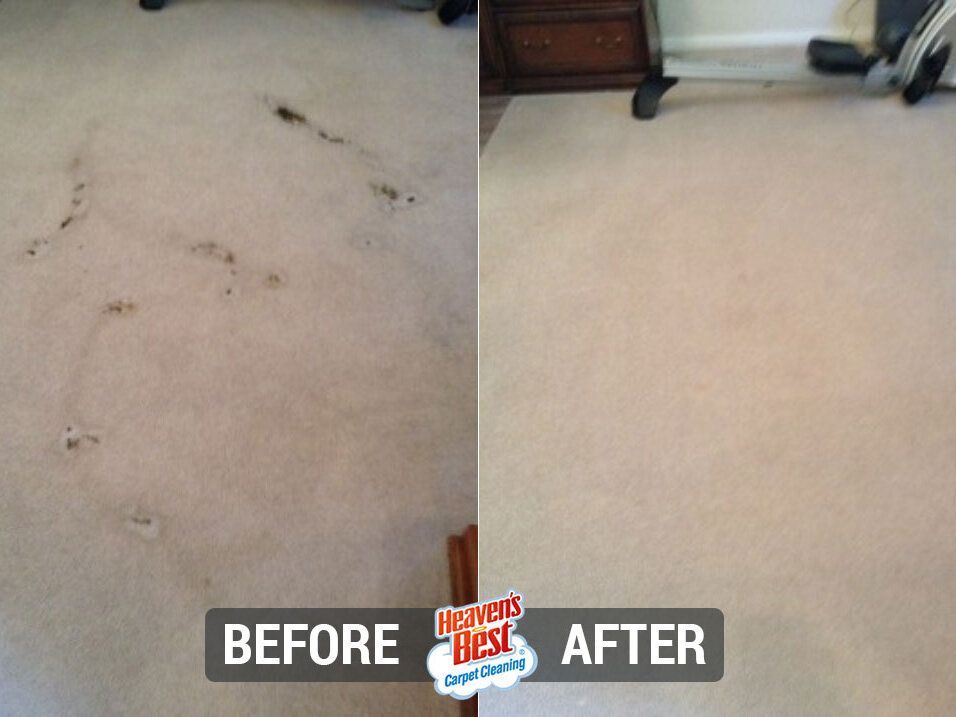 Heaven's Best Carpet Cleaning of DuPage