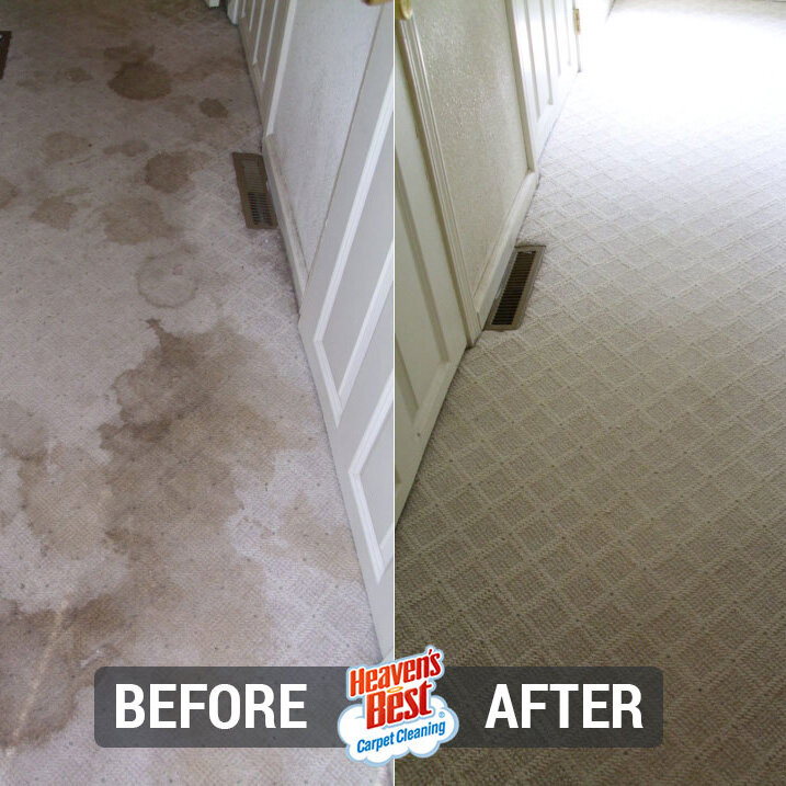 Heaven's Best Carpet Cleaning of DuPage